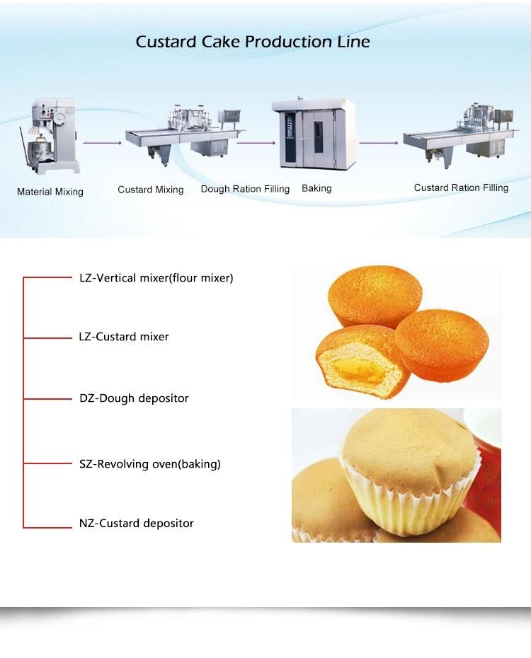 Bread/Cake/Cookie/Pastry Bakery Equipment