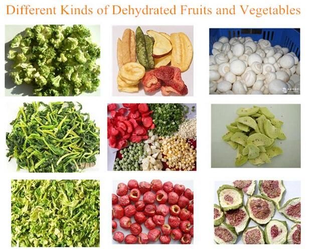 Tunnel Mesh Belt Ginger Chilli Vegetable Fruit Food Dryer