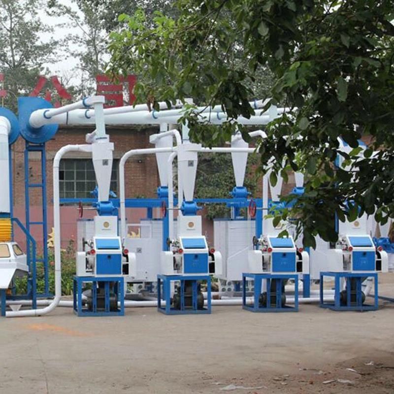 30tpd Maize Grinder Flour Grits Milling Grinding Machines for Sale