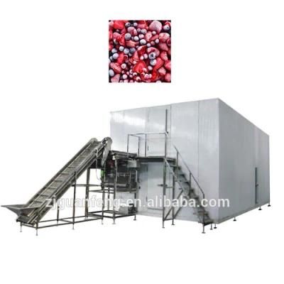 5000kg Quick Freezer for Fruits and Vegetable Freezing