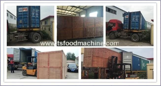 Potato Chips Automatic Frying Machine and Meat Fried Machine