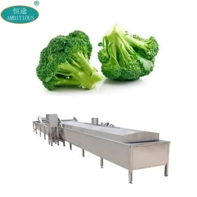 Vegetable Boiler Cooking Blanching Machines and Cooling Machine