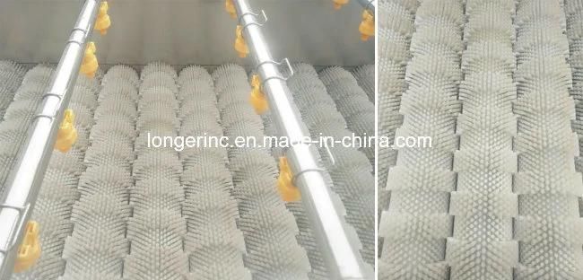 Automatic Chestnut Machine Strawberry Washing Machine