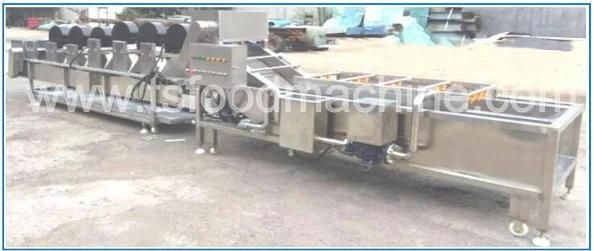 Factory Price Bean Sprout Bubble Washer and Washing Machine