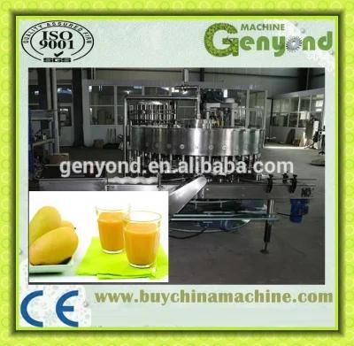 Hot Sell Complete Mango Jam Production Line