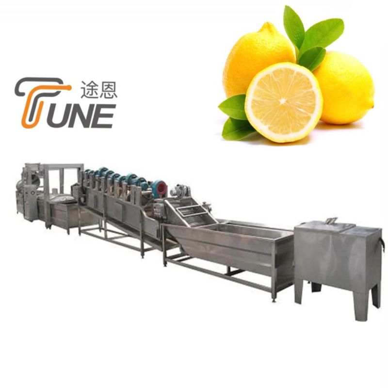 Full-Automatic 7000kg/H Lemon Sorting Production Line Machine