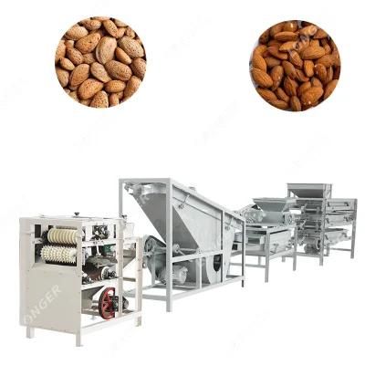Little Tropic Almond Cracker Hazelnut Shelling and Sorting Palm Kernel Cracker and ...