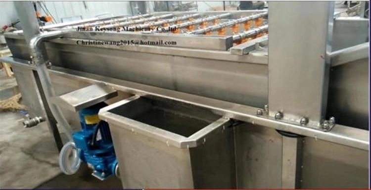 Commericial Vegetable and Fruit Food Washing Cleaning Machine