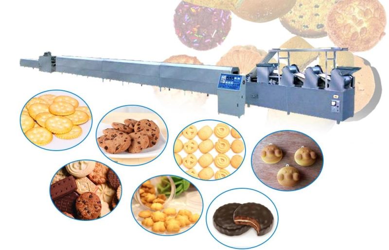 Popular Full Automatic Soft and Hard Biscuit Making Machine Biscuit Procession Line Biscuit Production Line