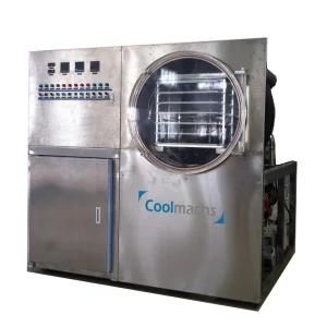 Small Scale Freeze Dryer for Fd Food Testing