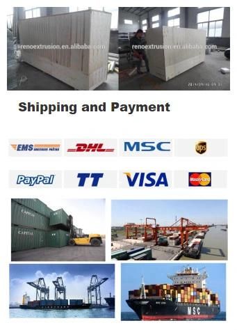 High Class Pet Chews Single Screw Extruder