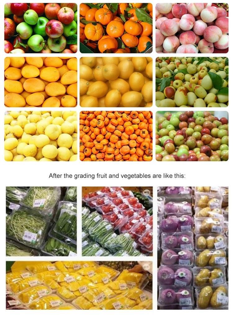 Fruits Apple Potato Onion Tomato Peach Grading Sorting Machine