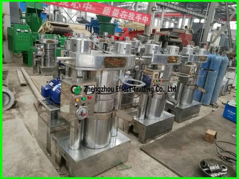 Competitive Price Cold Almond Oil Press, Walnut Oil Press