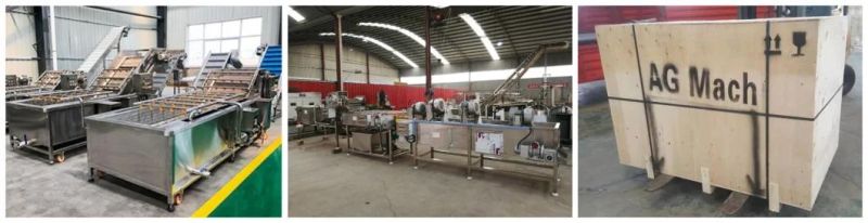 Industrial Food Processing Fruit Washing Machine Commercial Vegetable Cleaning Machine