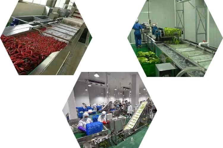 Fruits Cleaning Washer Big Tank Rush Roller Apple Orange Washing Machine