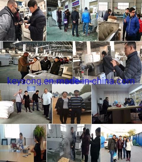 Stainless Steel Potato Chips Frozen French Fries Food Making Machine