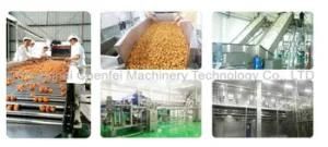 Automatic Ketchup Making Processing Strawberry Sauce Producing Curry Date Paste Grinding ...