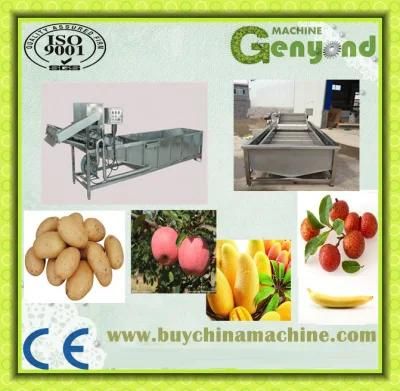 Vegetable Washing Machine (ss 304 material)
