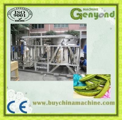 Full Automaitc Vegetabel Chips Frying Machine