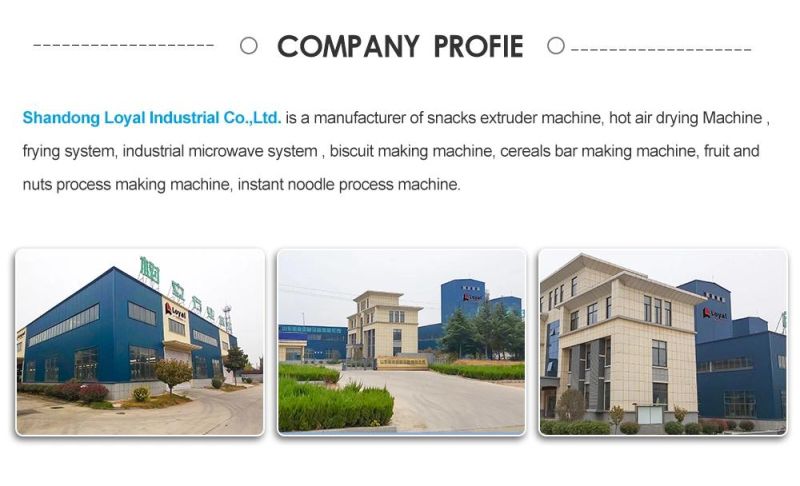 Professional High-Efficiency Instant Noodle Production Line