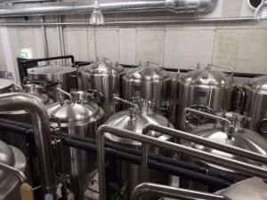50L 100L 200L 300L 500L 1000L 1500L 2000L Beer Brewing Equipment CIP Cleaning System for ...