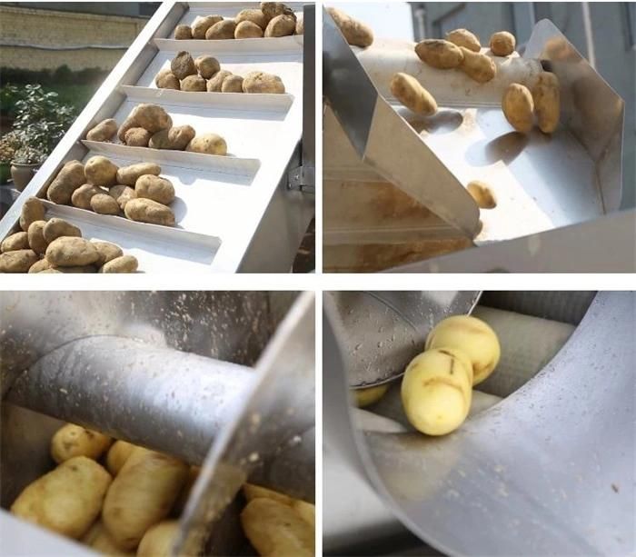 Automatic Carrot Ginger Washing Peeling Cassava Potato Vegetable Cleaning Peeler Machine