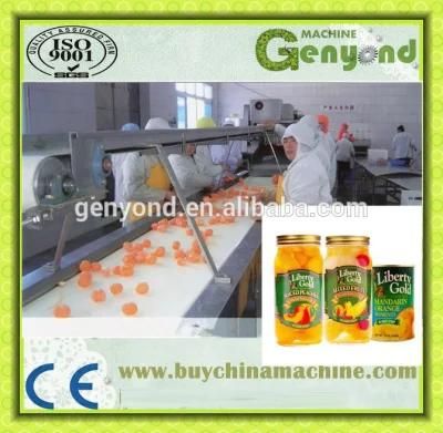 Complete Mandarin Orange in Syrup Production Line