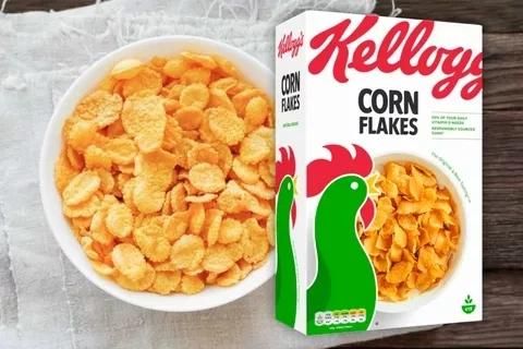 Breakfast Cereals Corn Flakes Puff Snack Food Equipment