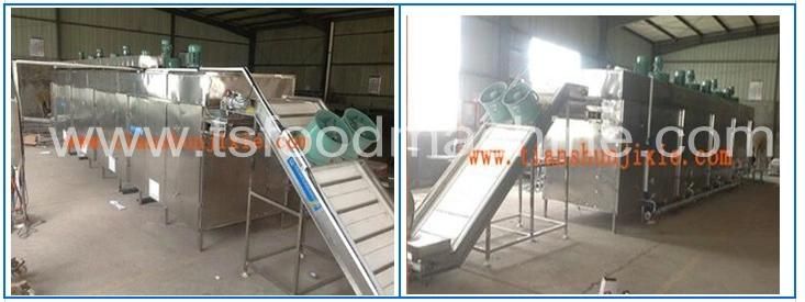 Ground Nuts Cocoa Bean Cashew Nut Macadamia Nut Pistachio Nuts Dryer and Drying Machine