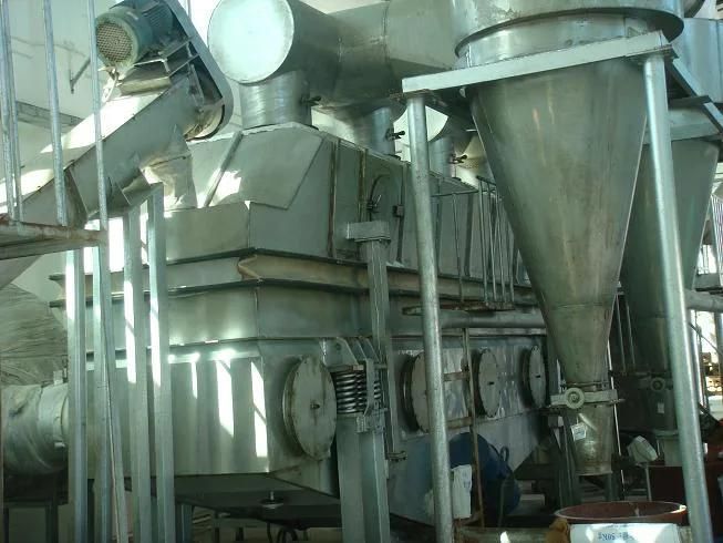 2020 Vacuum China Top Salt Making Machine