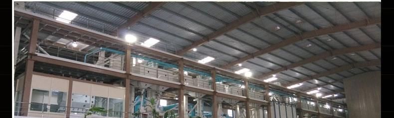 Mjxt Thickness Length Thin Grader Separator Sorter Machine for Sale Price