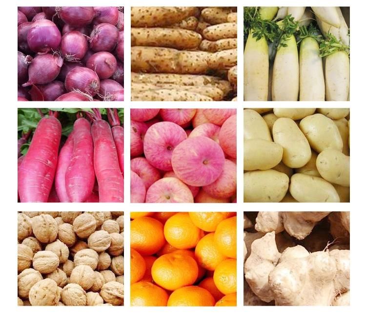 Stainless Steel Apple Ginger Carrot Potato Fruit and Vegetable Bubble Washing Equipment