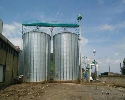 Hongdefa Wheat Flour Mill Machine Installed in Ethiopia