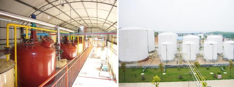 New-Technology 150 Tpd Biodiesel Oil Production Line