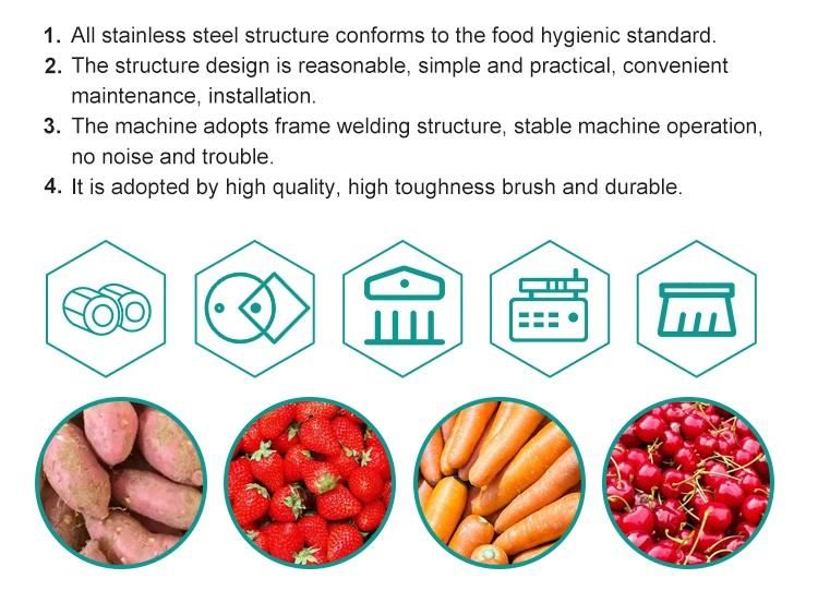 Stainless Steel Apple Ginger Carrot Potato Fruit and Vegetable Bubble Washing Equipment