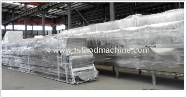 Fruit and Vegetable Dryer Mesh Belt Dryer