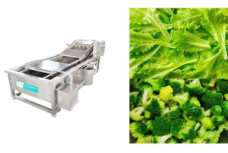Water Spray Vegetables Lettuce Broccoli Leek Vegetable Bubble Washing Machine