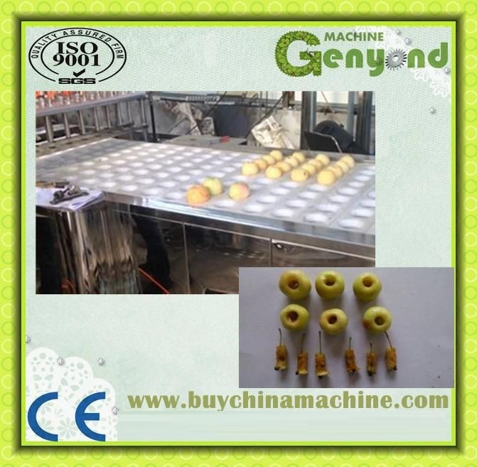 High Efficient Dates Pitting Machine