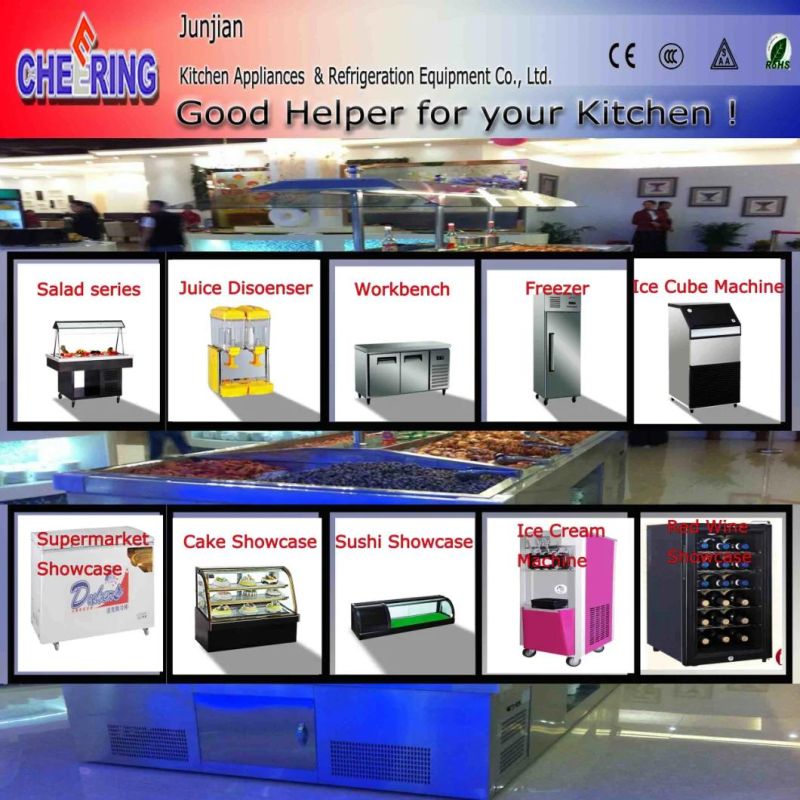 Professional Manufacturer Commercial Gas Electric Deep Fryer Chip Chicken Fryer Fast Food Equipment