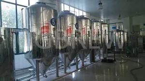 300L Hotel Craft Beer Brewing Machine for Sale