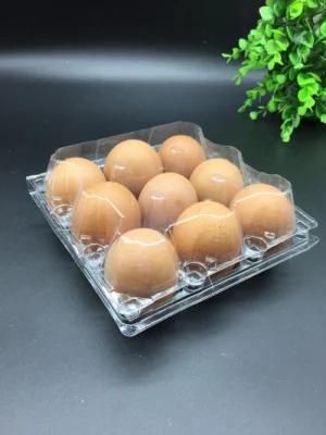 Plastic Egg Container Foring Machine (model-500)