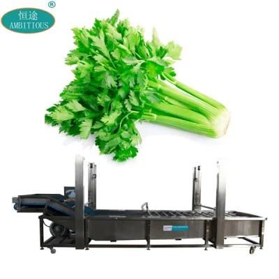 Vegetable Washing Line High Pressure Vegetable Washing Machine