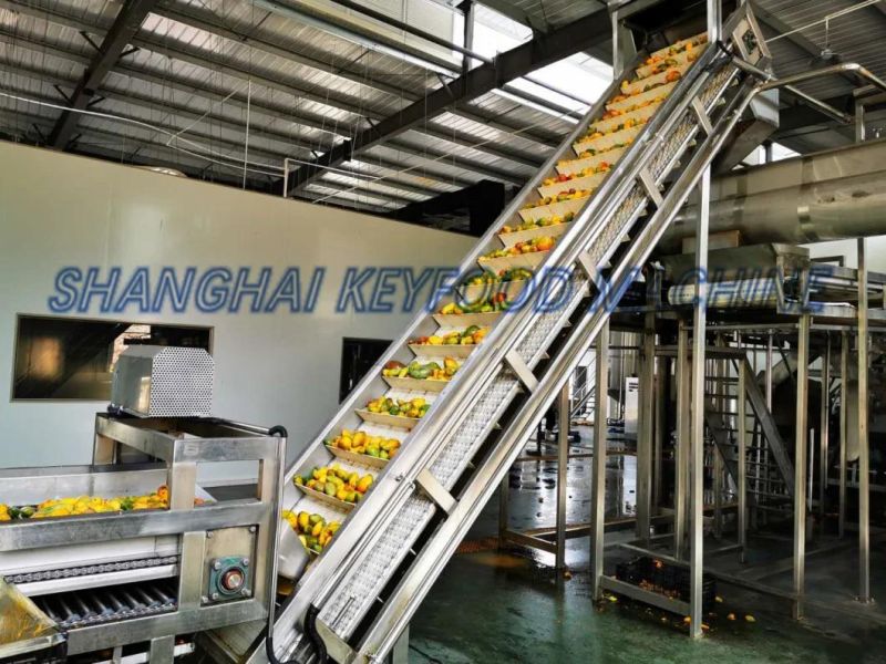 Multi-Functional Mango Juicce Bottling Machine Juice Production Line