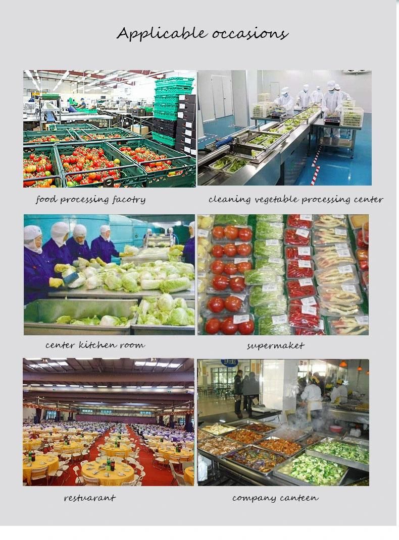 CE Certification Smart PLC Controller Vegetable Meat Automatic Dehydrator Machine