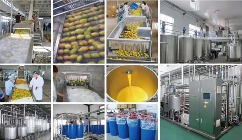 Professional Beverage Fruit Juice Processing Machine Plant