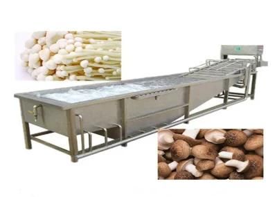 Commercial Factory Supply Vegetable Washing Production Line