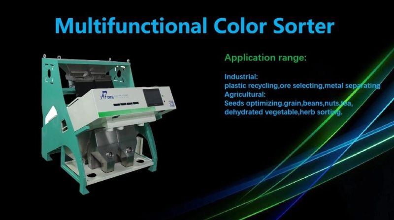 Bida Food Processing Equipment Raisin Selecting Machinery 2 Chutes Raisin Color Sorting Machine