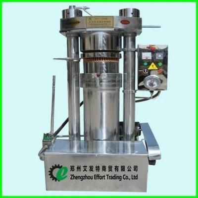 Easy Operation Stainless Steel Hydraulic Cold Oil Press for Sesame/Walnuts/Pine Nuts