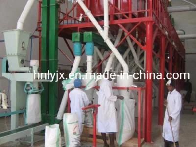 Fine Corn Flour and Grits Plant