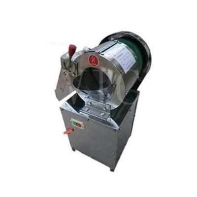 Professional Multifunction Vegetable Cutter SQC120